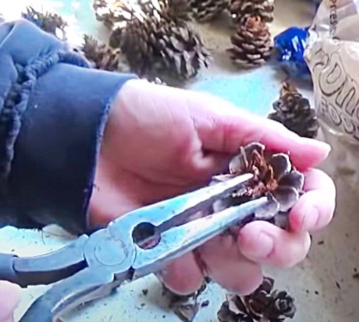 How To Turn A Pinecone Into A Flower - Pinecone decor Ideas - DIY Pinecone Art