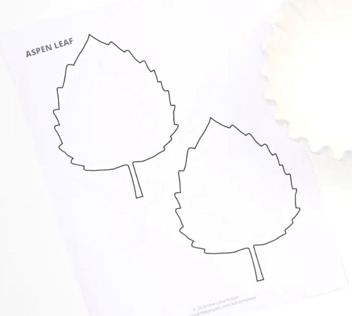 Materials for DIY Coffee Filter Fall Leaves