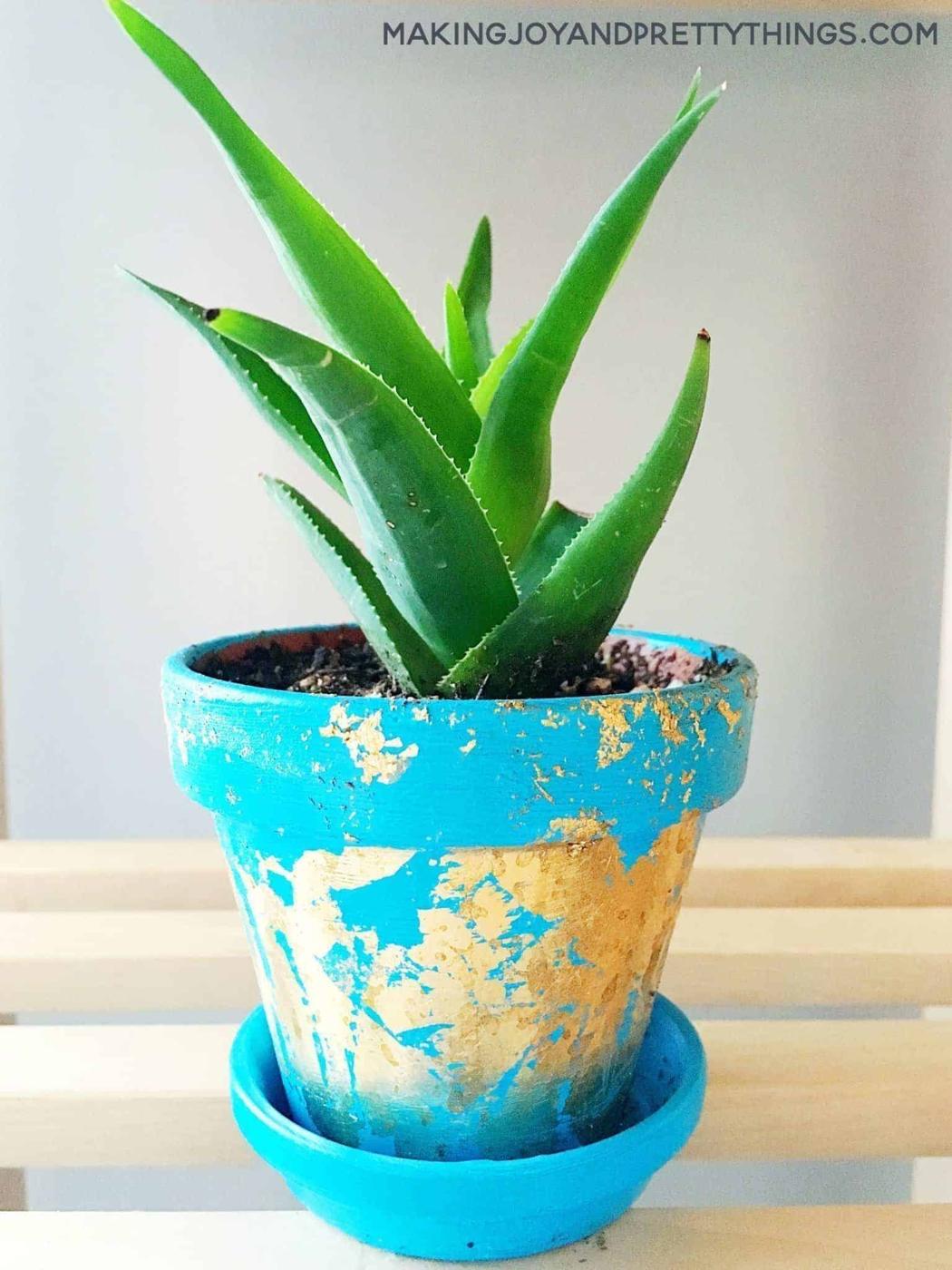 Small terra cotta pot painted bright turquoise with patchy gold foil, planted with a young aloe on a wood shelf