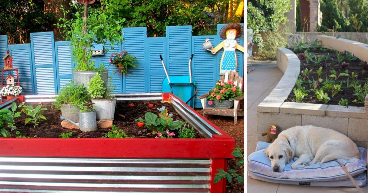 36 Creative DIY Gardening Ideas
