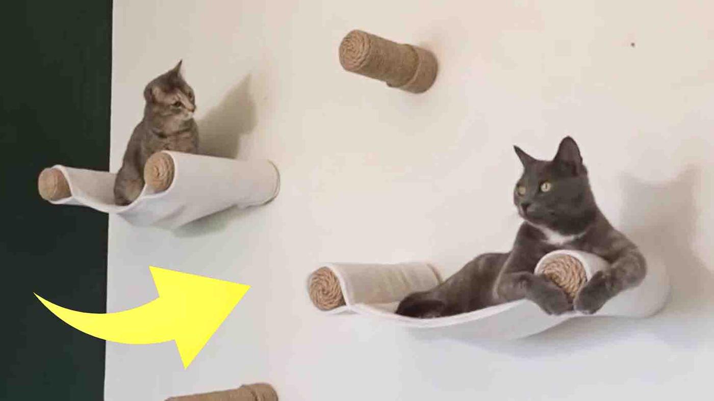 DIY Cat Wall Hammock Tutorial