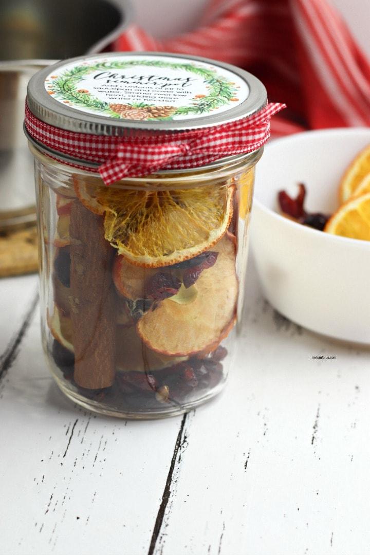 A pint jar layered with dried orange slices, apple rings, cranberries and cinnamon sticks with a red gingham bow and label