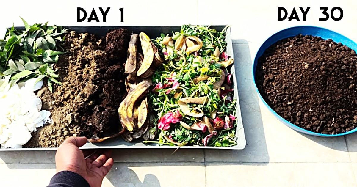 How To Make Compost From Kitchen Scraps