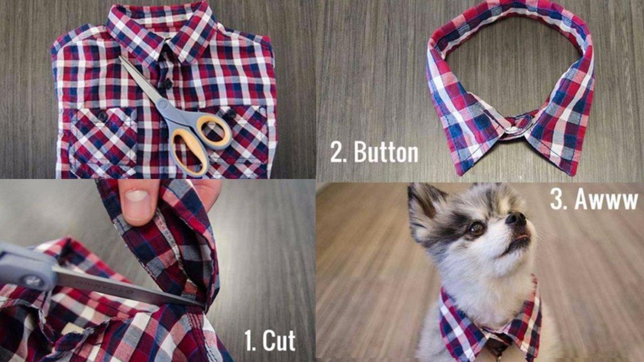 14 Dog Hacks That Make Life With a Dog Easier