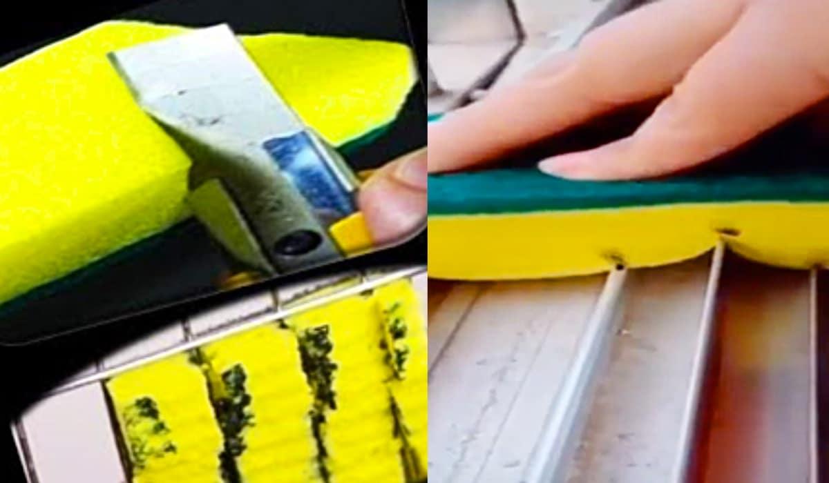 How To Cut A Sponge To Clean Windows