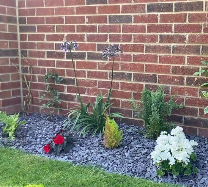 Easy Beginner-Friendly Flower Bed Tutorial