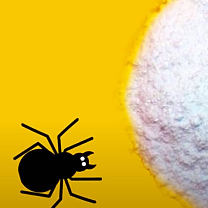 Use Boric Acid For Pest Control - How To Get Rid Of Spiders - Easy Pest Control Ideas