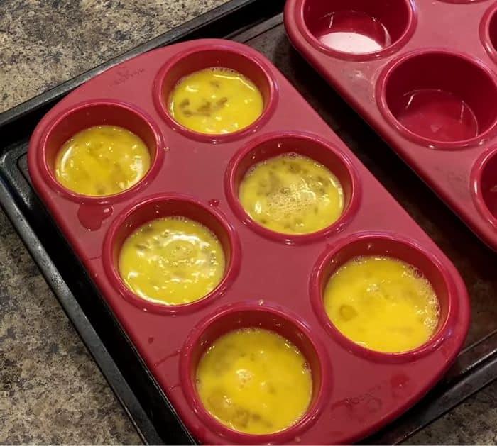 Easy Egg Freezing Tips and Hacks