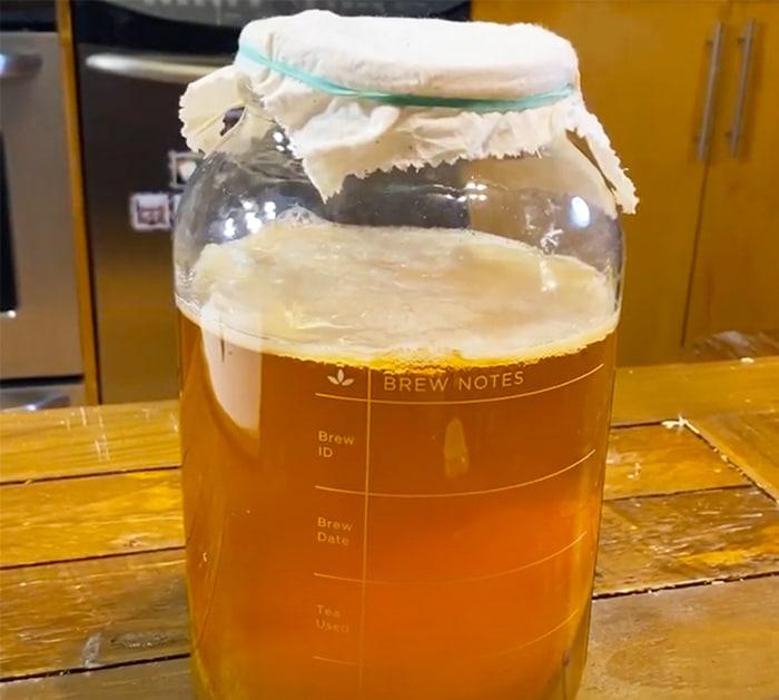 How To Make Floral Kombucha | Homemade Recipes
