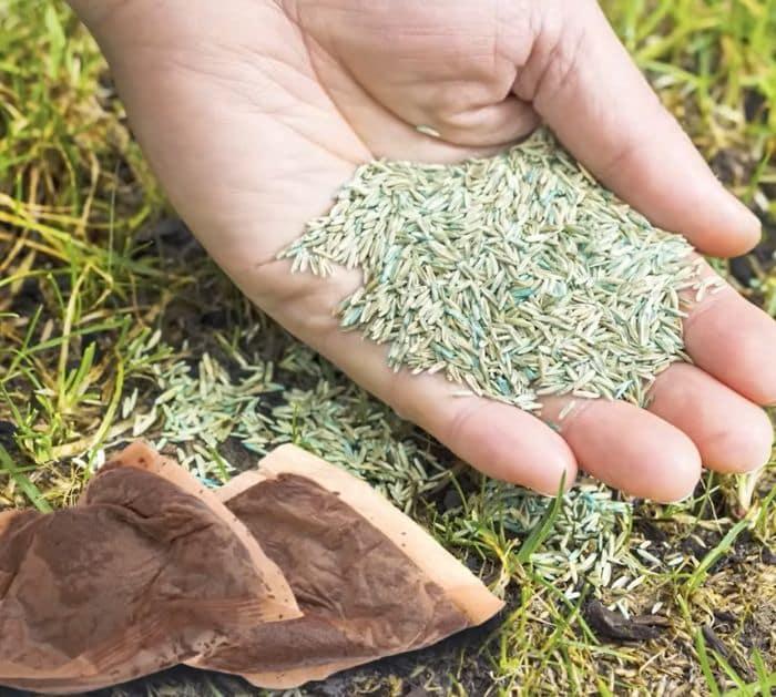 Uses For Tea Bags In Your Garden (1)