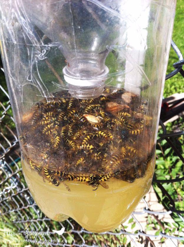 Best Ways to Get Rid of Bugs - Homemade Wasp Trap - Easy Tips and Tricks to Get Rid of Roaches, Ants, Fleas and Flies - DIY Ways To Exterminate and Elimiate Pests from Your Home an