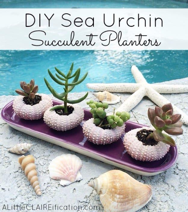 DIY Sea Urchin Succulent Planters, an idea worth saving to your favorites and a fun project the whole family can help with