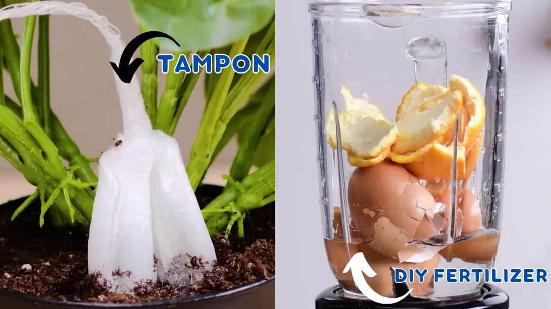 6 Plant Parenting Hacks That You Should Know