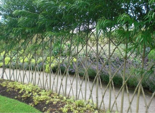 Make a Living Fence For Your Garden, a fun DIY garden idea worth trying this season and an easy weekend project for the yard