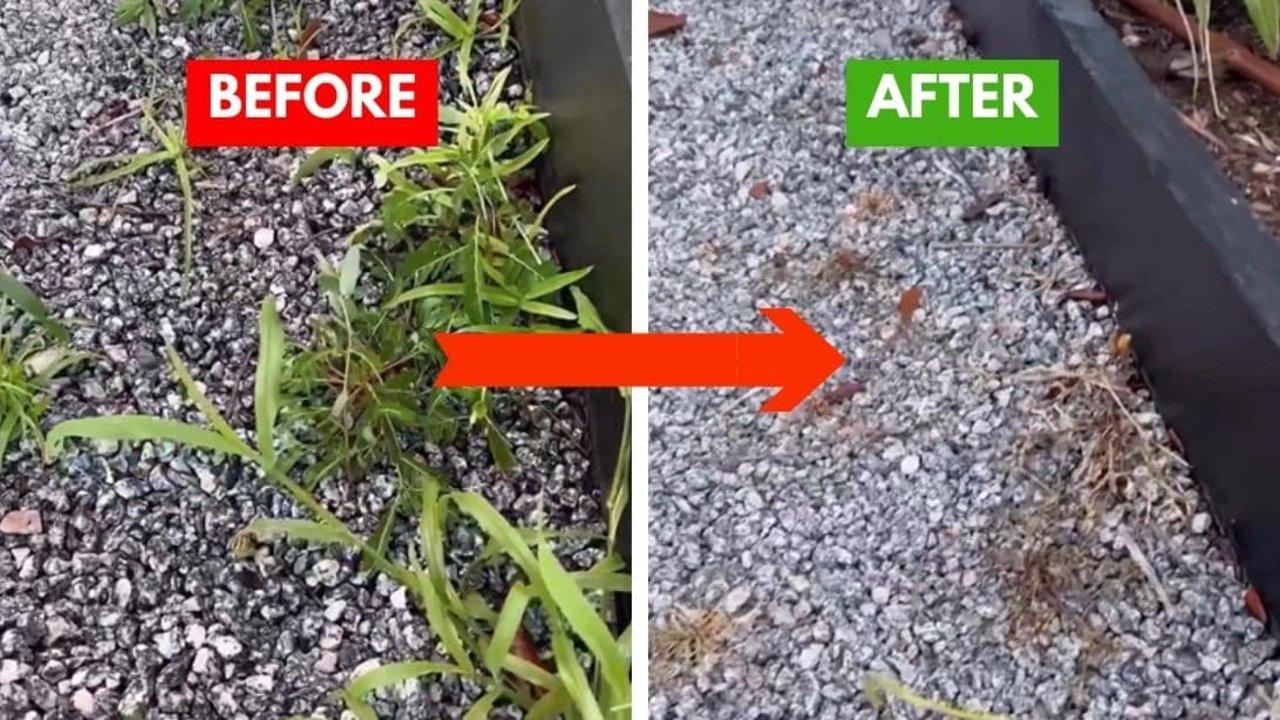 8 Ways to Kill Weeds Naturally