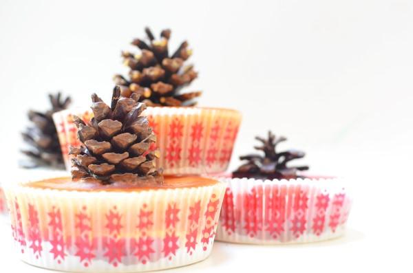 Pine cone fire starters dipped and finished from materials gathered on a walk in the woods, a cozy nearly free craft