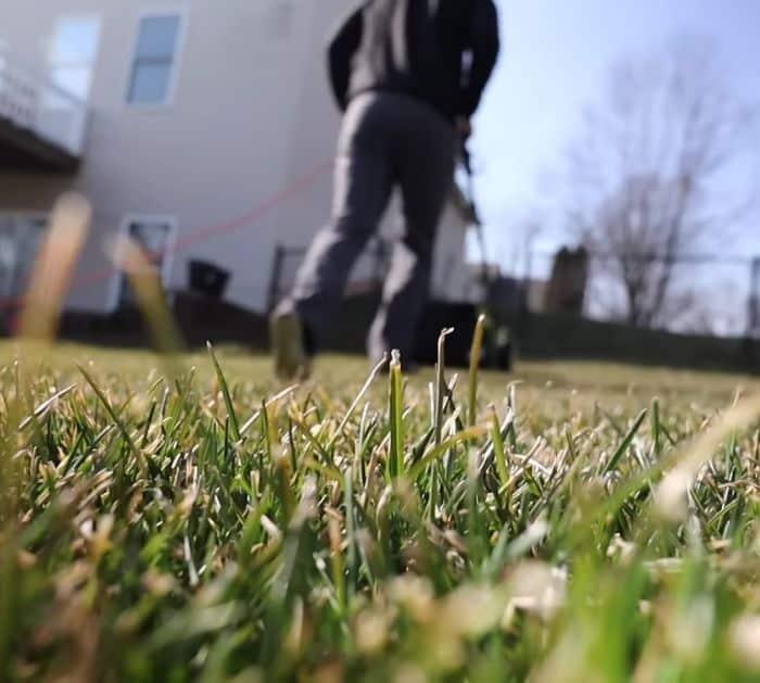Easy Tips and Hacks to Grow Healthy Grass in the Spring