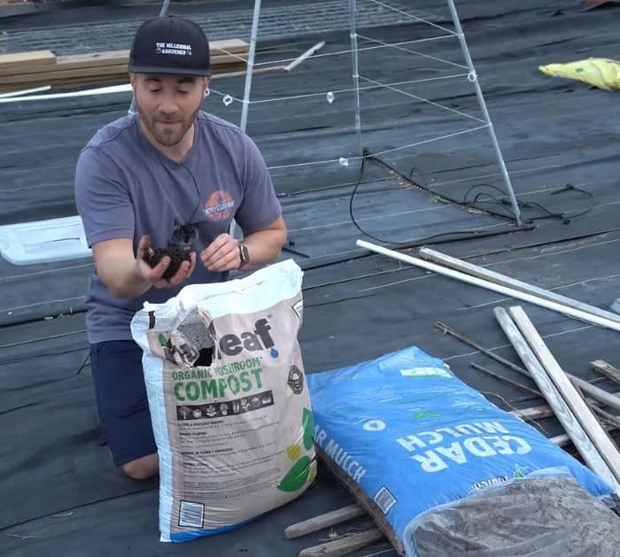 Make Your Yard Ant Free Forever in 3 Easy Steps Tips