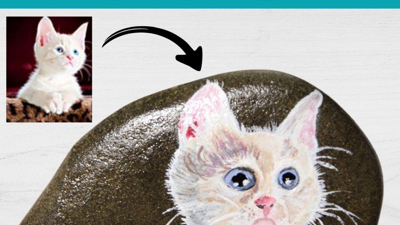 Rock Painting Idea – How To Paint A Cat