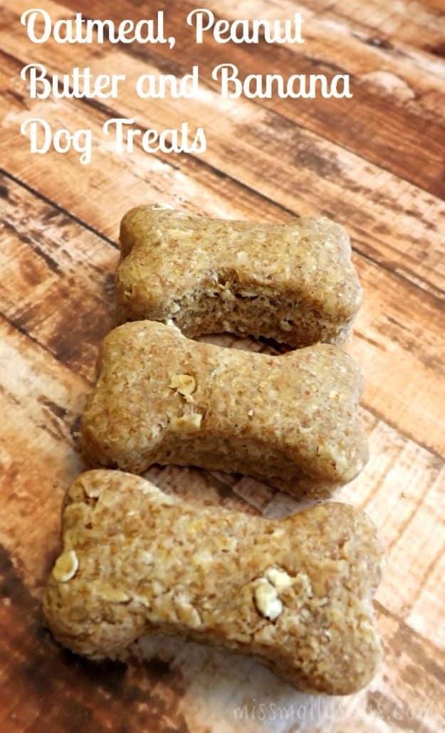 Oatmeal Peanut Butter Banana Dog Treats Recipe, a budget friendly way to keep treats on hand and a nice change of pace