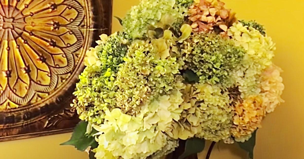 How To Make Coffee Filter Hydrangeas