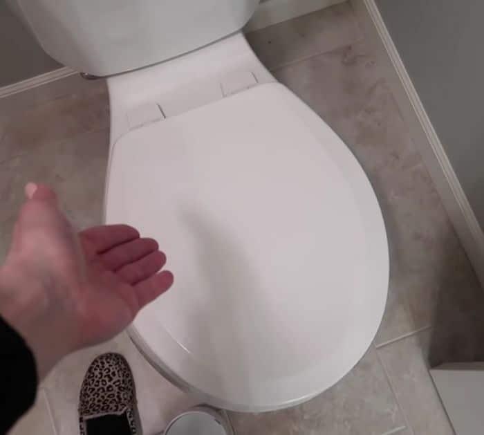 Inexpensive Toilet Cleaning Tips & Tricks