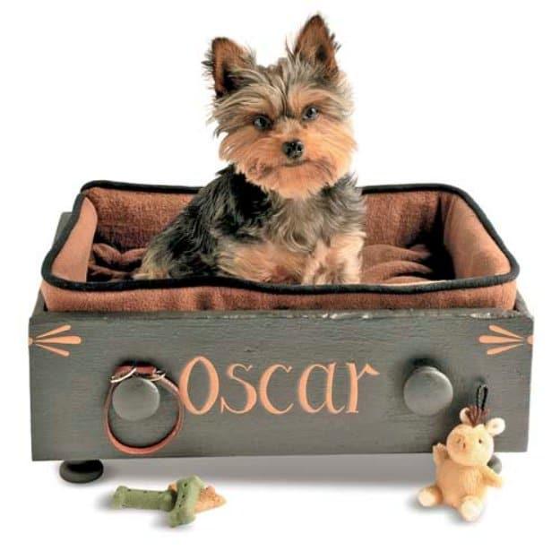 Customized Drawer Pet Bed, tidy enough in mess to skip the drop cloth and a glow that brightens the whole space