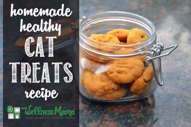 Homemade Healthy Cat Treats, a homemade pet treat, made without the fillers found in store bought bags