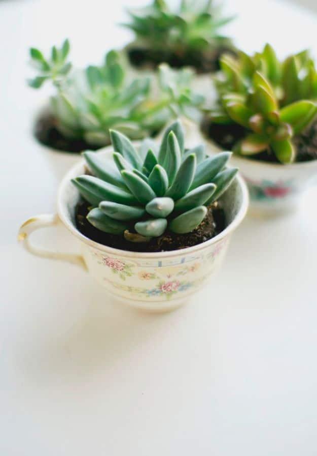 Easy DIY Tea Cup Planter, budget friendly and quick to put together and better than a store bought version