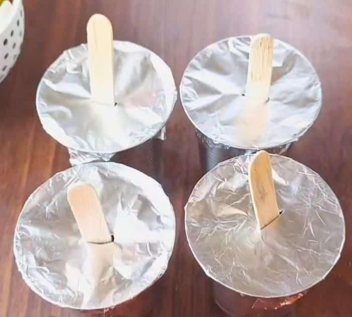 How to Make Watermelon Popsicles