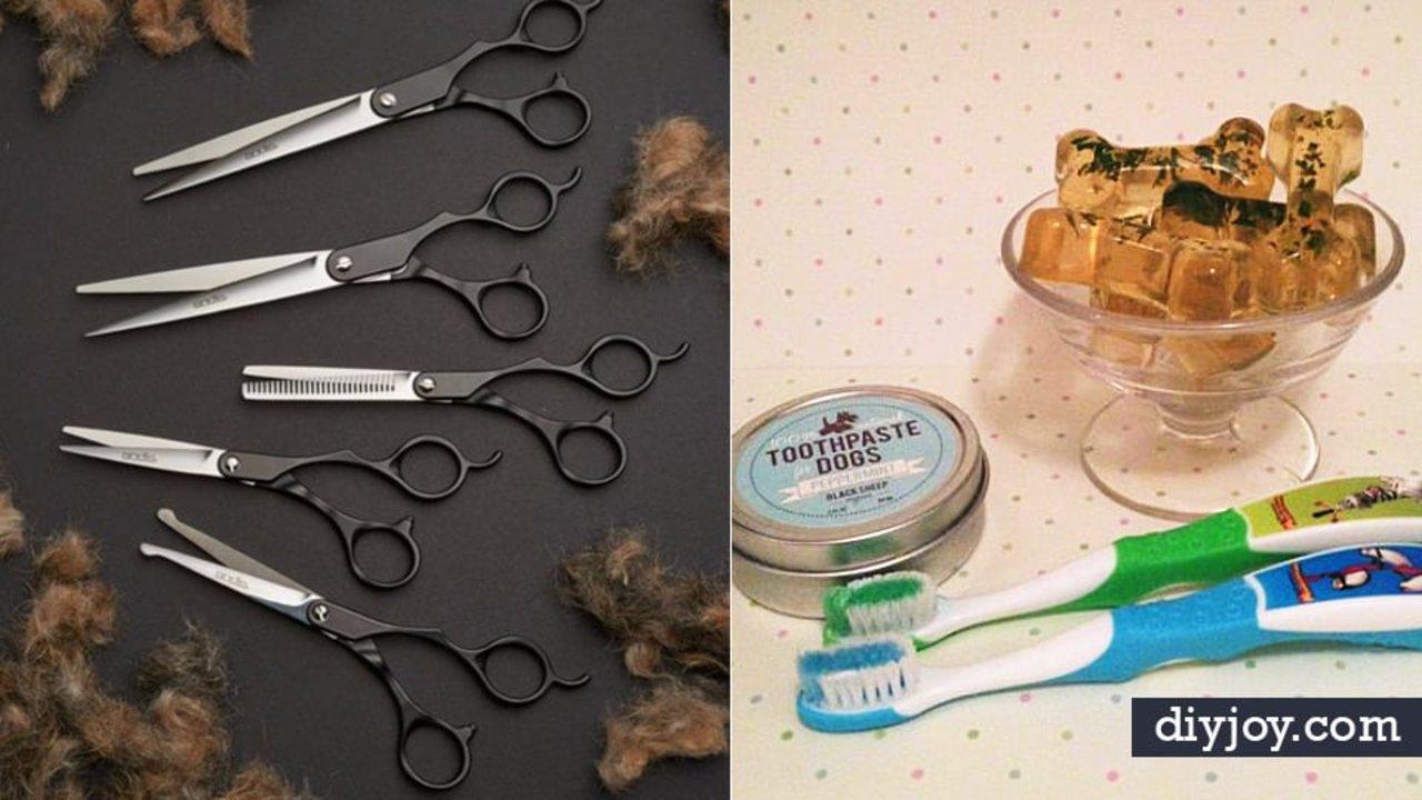 26 Dog Grooming Tutorials For A Clean Pup