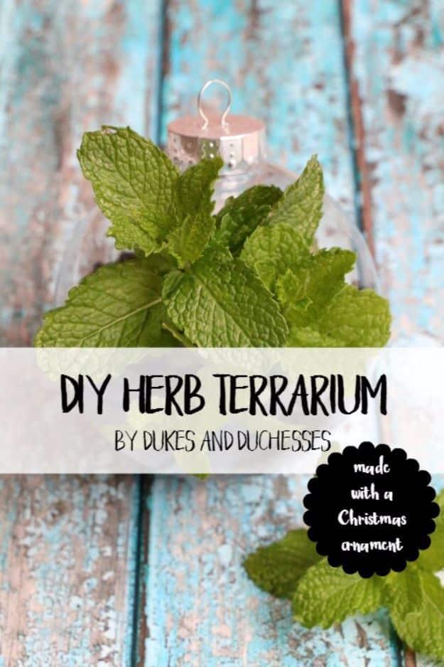 DIY herb terrarium, a clear plastic ornament planted with fresh green mint hanging against weathered turquoise wood