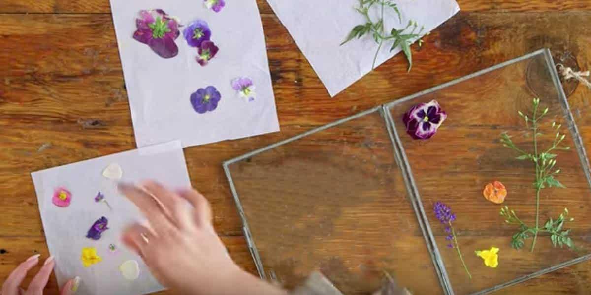 She Presses Flowers In Books And Places Them On Glass For An Amazing Piece Of Art!