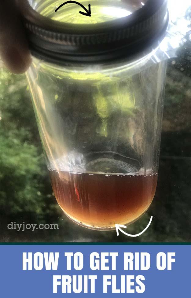 How to Get Rid of Fruit Flies In Kitchen - Homemade Fruit Fly Trap tp Make With Mason Jar and Vinegar - Natural Ways to Get Rid of Bugs in Kitchen and Around Sink - DIY Fruit Fly T