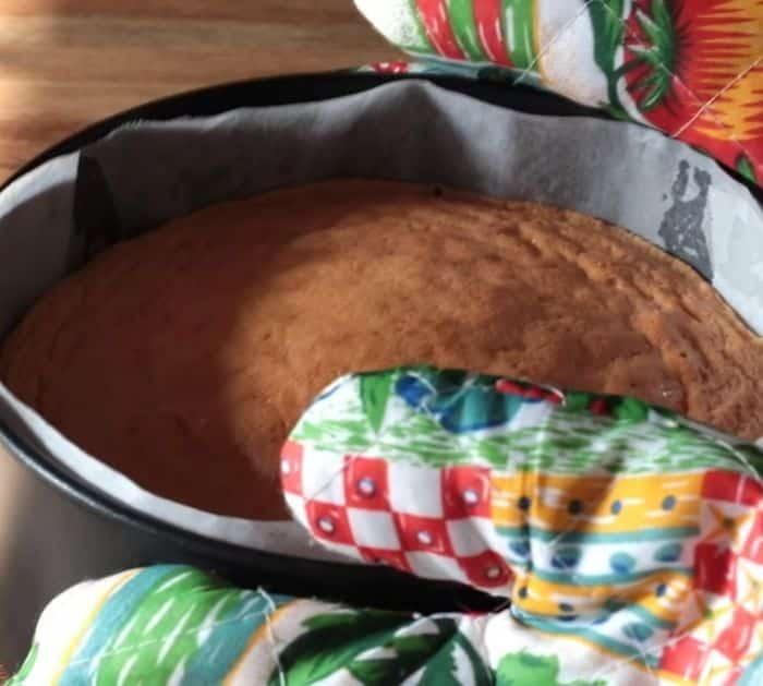 Easy cake tutorial for beginners