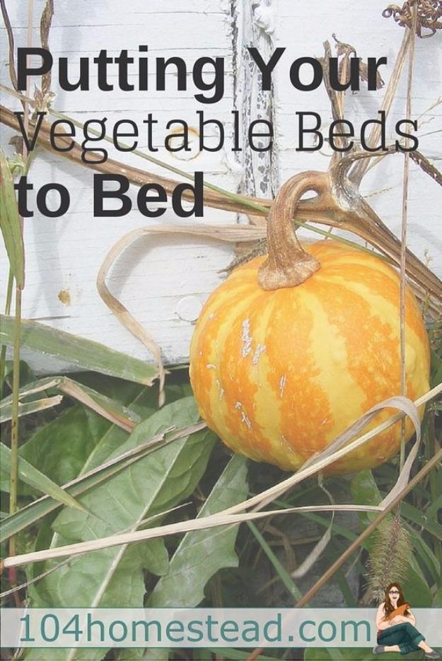 Graphic reading Putting Your Vegetable Beds to Bed over a small orange and white pumpkin on dried vines
