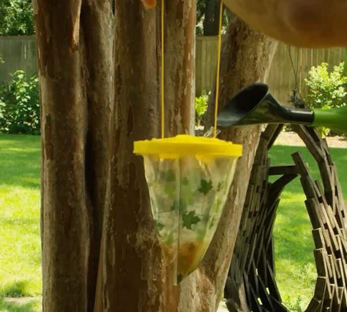 Getting rid of wasp nests