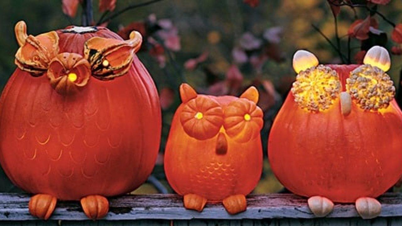 DIY Halloween: How to Make Pumpkin Owls