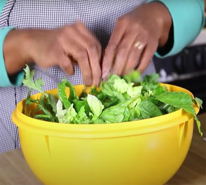 directions to keep salad fresh for days