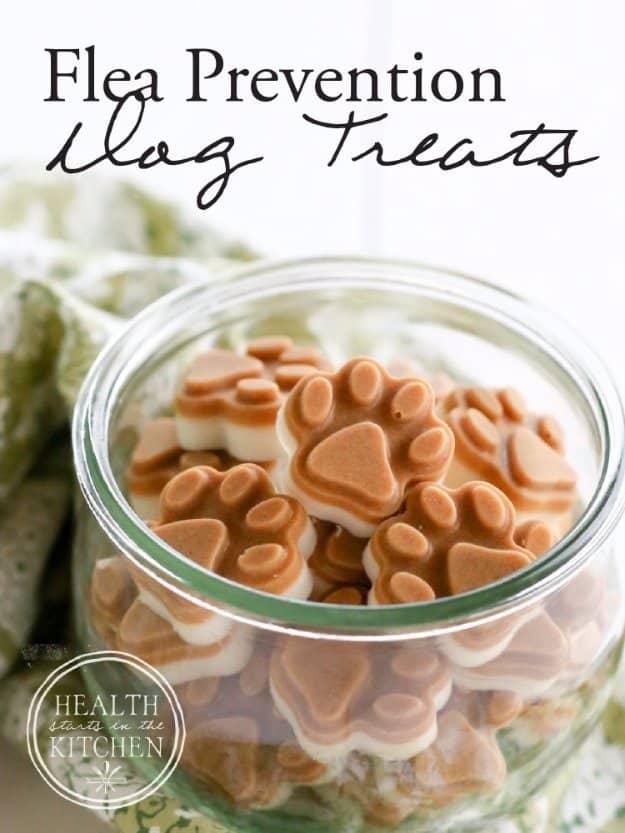 Homemade Flea Prevention Dog Treats, a homemade treat your dog or cat will beg for and worth trying soon
