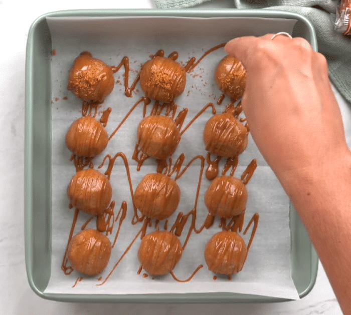 Easy to Make Biscoff Protein Balls