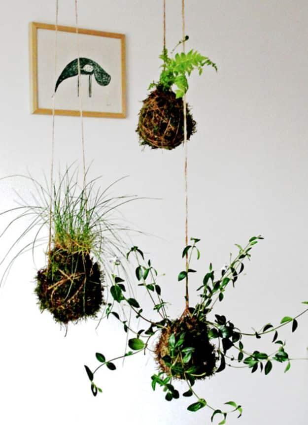 Kokedama String Garden, a handmade greenery feature, quick to set up on a rainy afternoon and a keepsake worth handing down