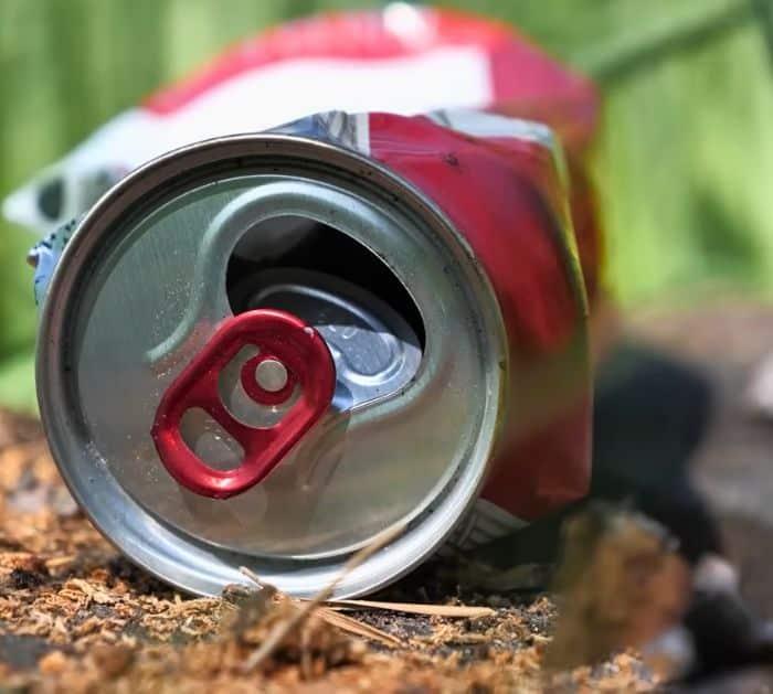 HOMEMADE BAKING SODA PESTICIDE