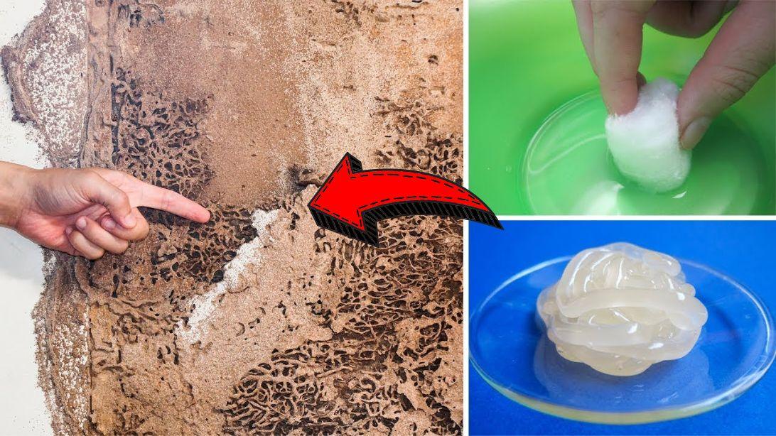 How to Get Rid of Termites for Good