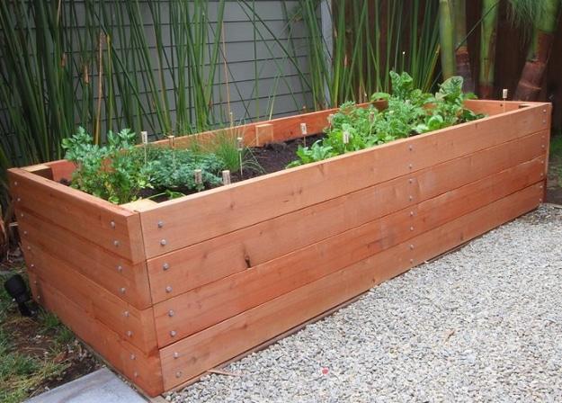 Raised bed planter, a tall redwood toned raised garden box full of green seedlings set on gravel against a fence