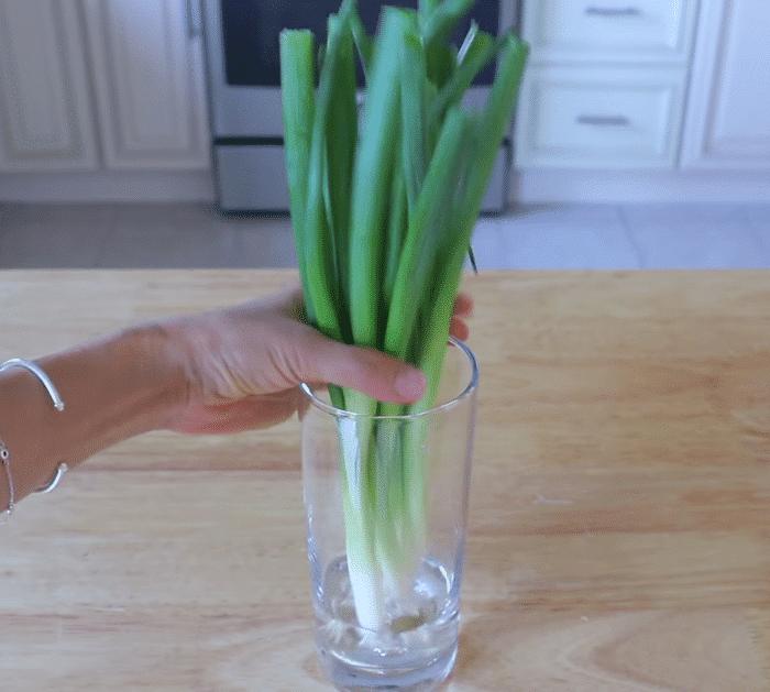 How to Preserve Scallions for Weeks or Months