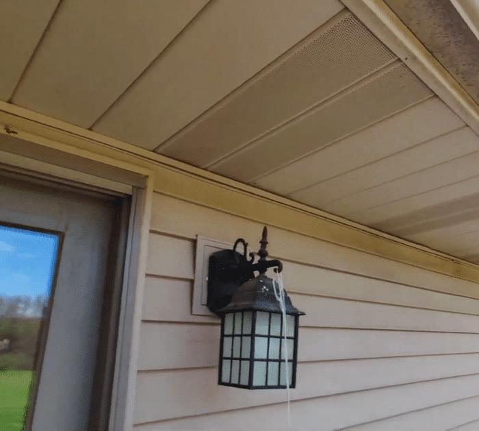 Easy Wasp Nest Removal Tips and Hacks