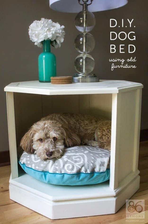 Upcycled Side Table DIY Dog Bed, cheap enough to try twice if the opening round flops and a statement worth the extra effort