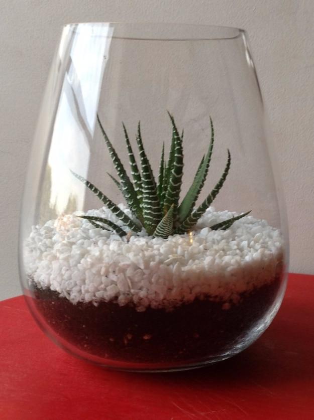 Dollar Store DIY Terrarium, small scale enough to test on scrap first and an upgrade pricier looking than it really was