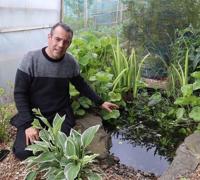 6 Proven Slug Control Methods Wildlife